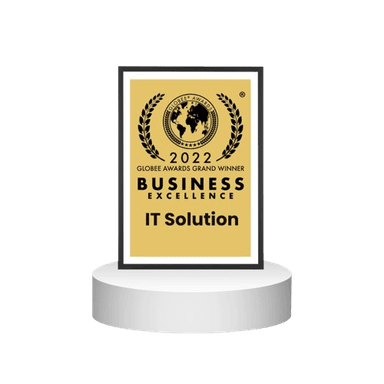 Top IT Solutions Provider 2024 - Next Hikes Recognition