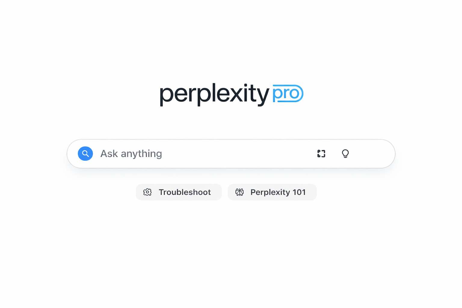 Perplexity AI Search Interface